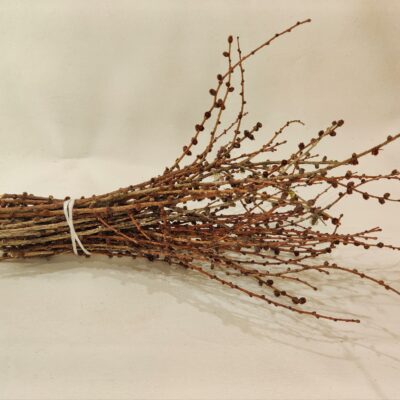 Lapegles zaru buntīte, 30-35cm