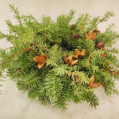 Baltegles un paegles adventes vainags ar skabārža sēklapvalkiem, D 20 cm