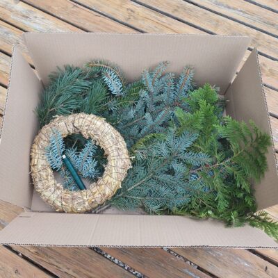 Starta komplekts Adventes vainagam - MIX zari