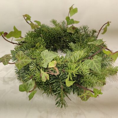 Baltegle + efeja, vainaga sagatave, D 20 cm