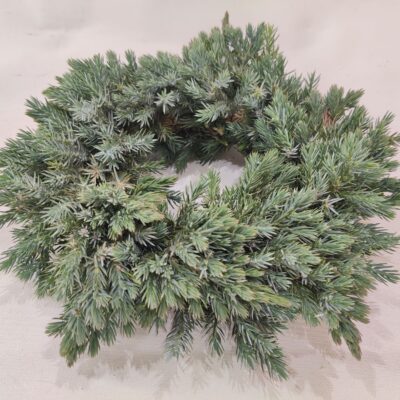 Kadiķa vainaga sagatave, D 20 cm