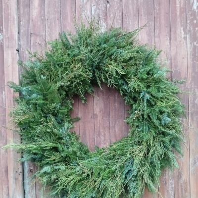 Skujkoku zaru vainaga sagatave, D 1m