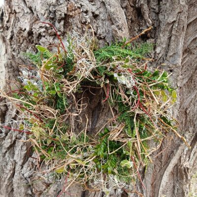 Durvju vainags, D 30 cm