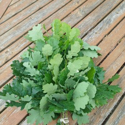 Parastā ozola zaru pirtsslota