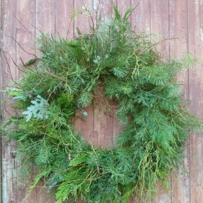 Skuju koku zaru Mix vainaga sagatave, D 0.9-1m