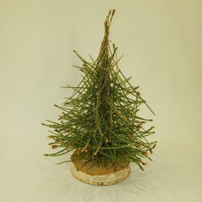 Stilizēta eglīte no skujām, H 30 cm