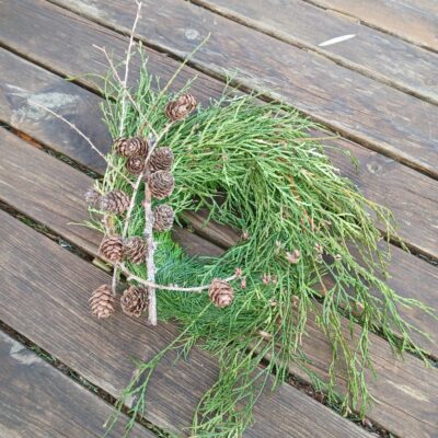 Tūjas zaru vainags, D 25 cm