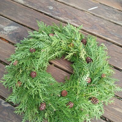 Tūjas zaru vainags, D 25-30cm