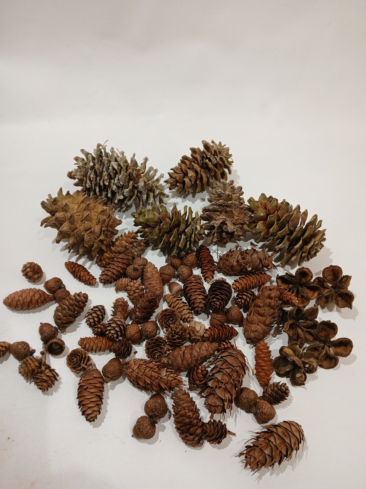 Čiekuru mix. komplekts dāvanu kastē - Image 3