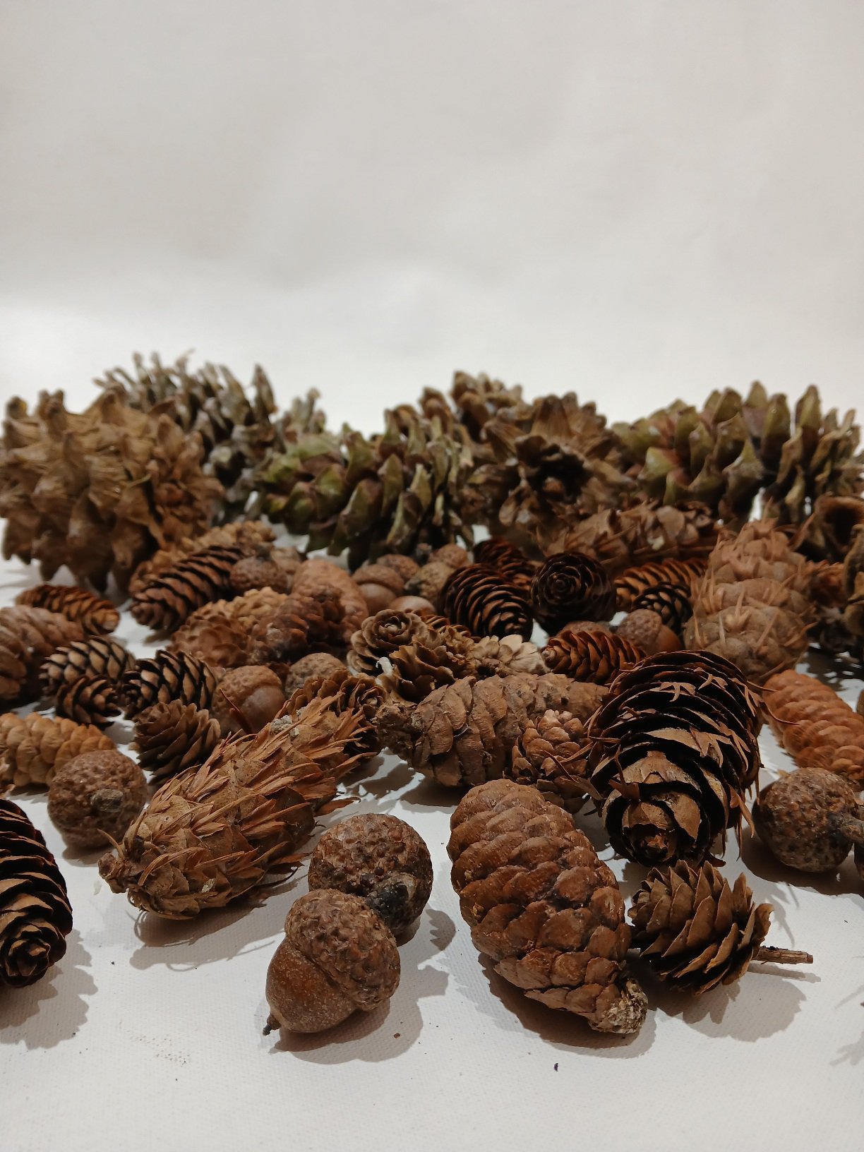 Čiekuru mix. komplekts dāvanu kastē - Image 2